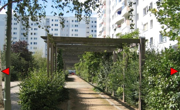 Foto von H. S. GaLaBau Holger Schulz Garten- und Landschaftsbau GmbH