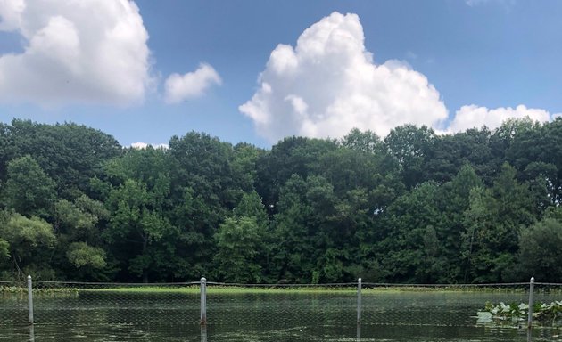 Photo of Prospect Park Dog Beach