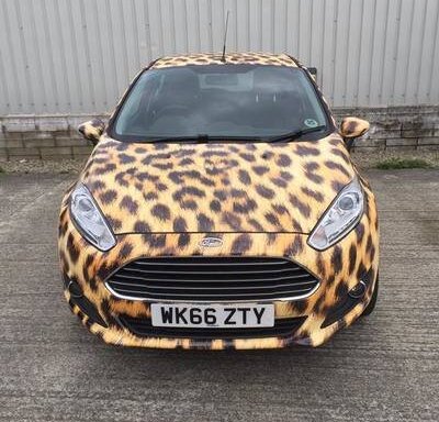 Photo of Leopard Print Ltd