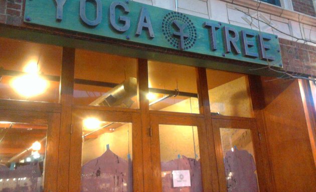 Photo of Yoga Tree