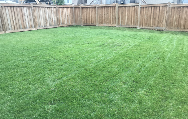 Photo of Turf Smart Lawn & Snow Care