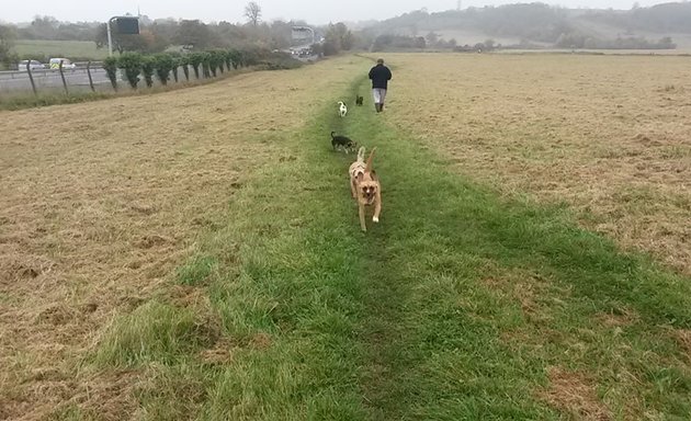 Photo of Oof Woof Walkies - Walking and pet services - Bristol