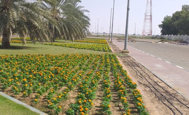 Photo of حديقة الفقع للعائلات