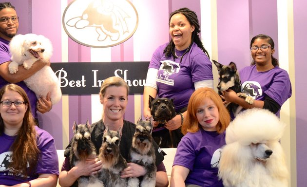 Photo of Best In Show Doggy Daycare, Groom & Board