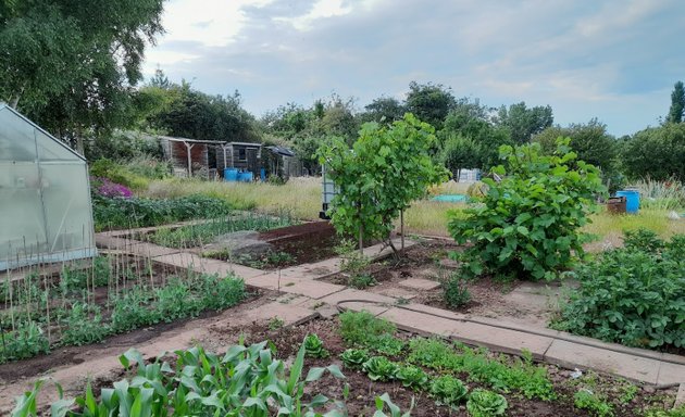 Photo of Lakeview Allotments