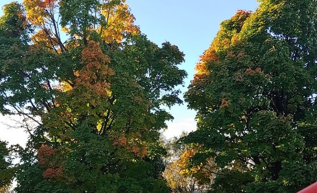 Photo of Shawnee Park