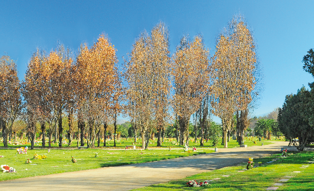 Foto de Sendero Maipú