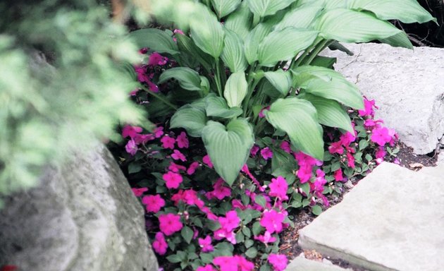 Photo of A Woman's Touch Landscaping