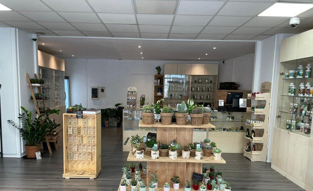 Photo de Le Growshop Bordeaux - Culture en intérieur & CBD shop