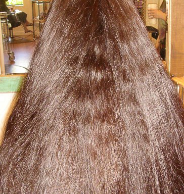 Photo of Dax and Lindsay's Thermal Reconditioning and Keratin Straightening Specialists
