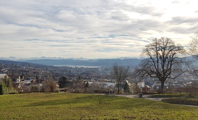 Foto von Grün Stadt Zürich, Waldrevier Uetliberg