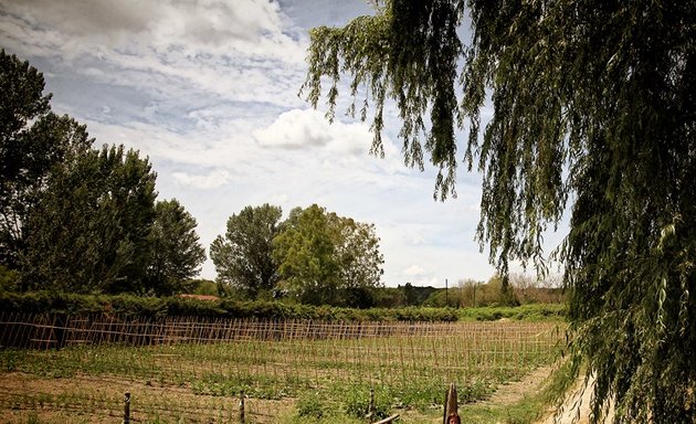 foto BioFarm Orto e Uova