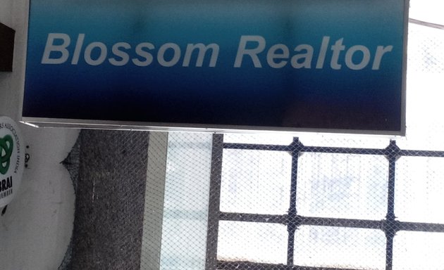 Photo of Realtor Blossom -Property sale