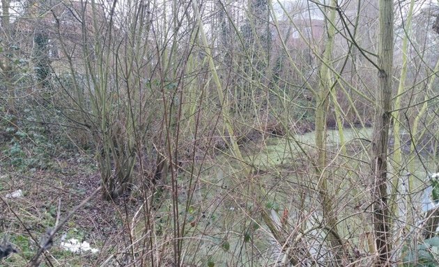 Photo of Bridge House Pond