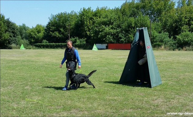 Foto von Hunde Sportplatz - An der Wuhle