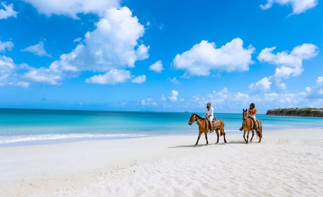 Photo of Antigua and Barbuda Tourism Authority