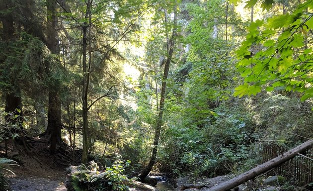 Photo of Schmitz Preserve Park