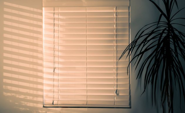 Photo of Queens Window Shades Treatments