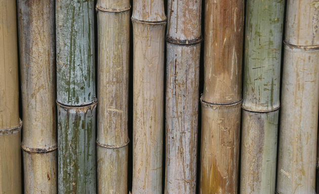 Photo of Bamboo Massage & Skincare