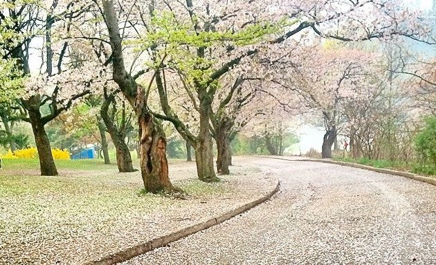 Photo of High Park North Gates