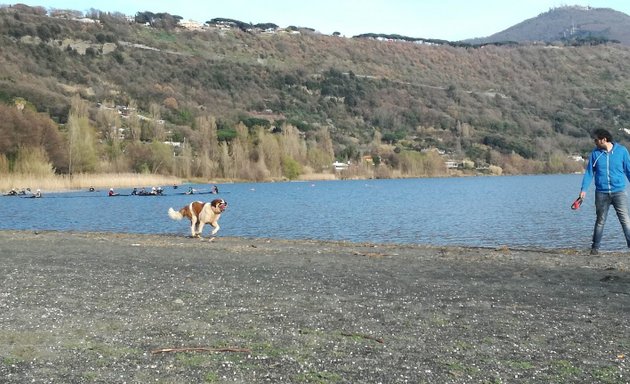 foto The Shed Lake