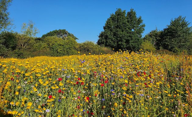 Photo of Kings College Playing Fields