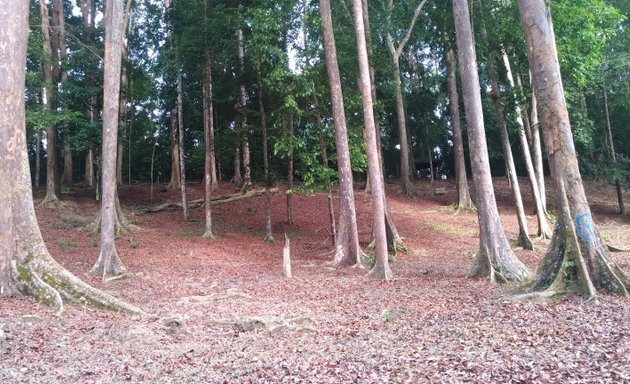 Photo of Taman Negeri Bukit Panchor, Pulau Pinang