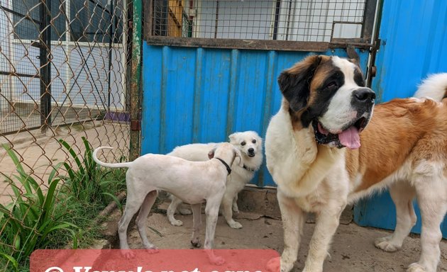 Photo of Venu's Pet Care