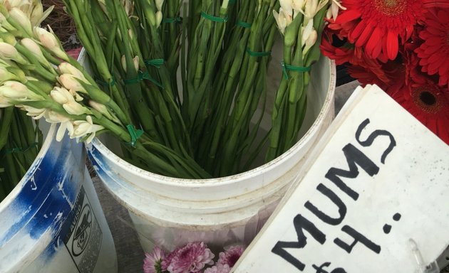 Photo of Pacific Palisades Farmers Market