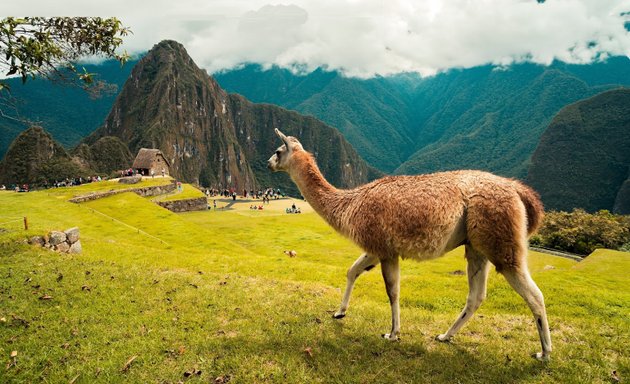Foto de Incas Peru