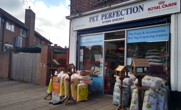 Photo of Pet Perfection - Orpington