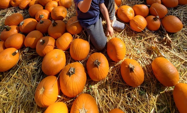 Photo of Green Meadows Farm New York