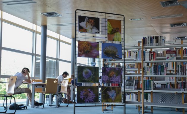 Photo de Bibliothèque universitaire Ingénieurs GM-GSI, Nancy