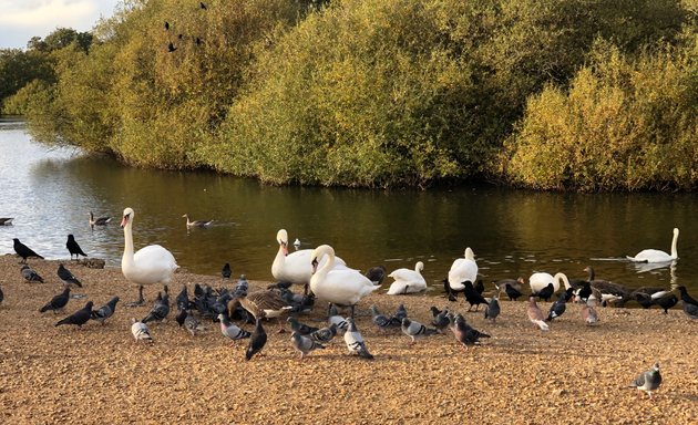 Photo of Leyton Flats