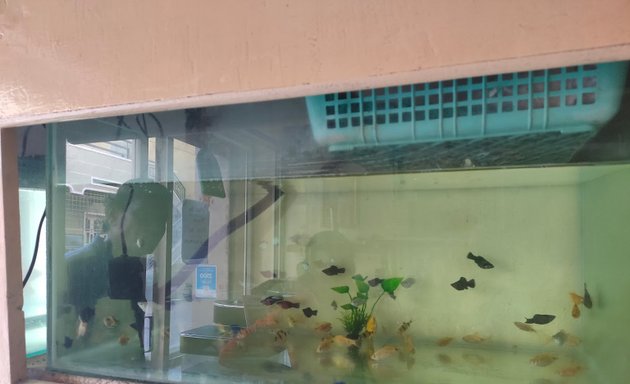 Photo of S Pee Aquarium