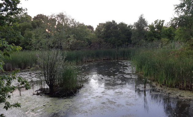 Photo of Keifer Marsh - Langstaff EcoPark