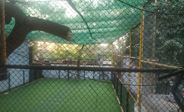 Photo of The Cage