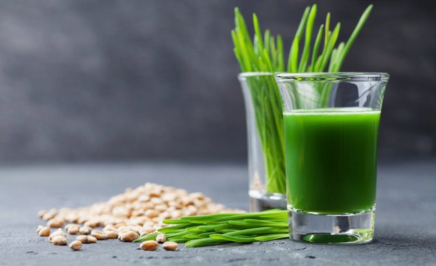 Photo of Dr. Wheatgrass Canada