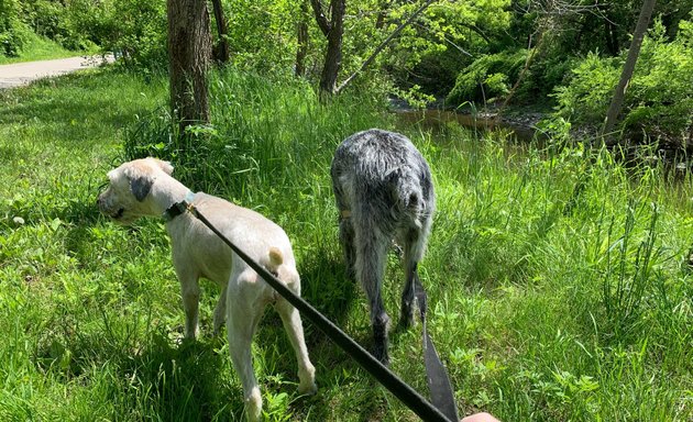 Photo of Etobicoke Valley Park