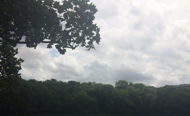 Photo of Crookes Valley Park
