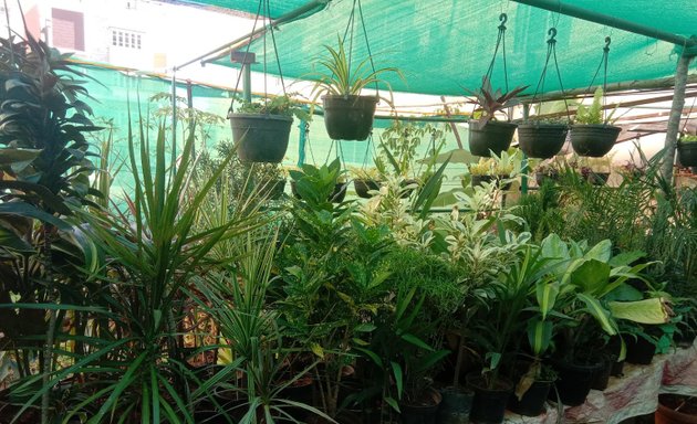 Photo of Sumanth Nursery And Garden