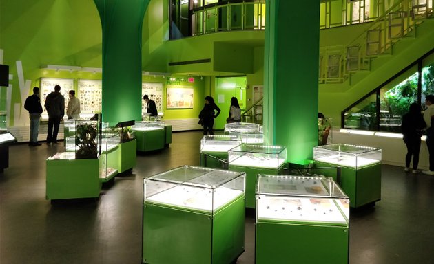 Photo of Montreal Insectarium