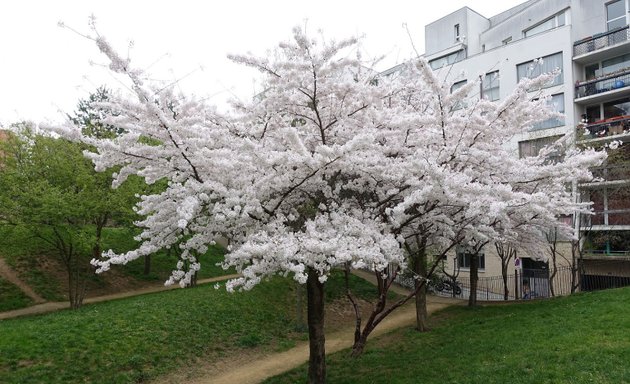 Photo de Jardin Marie-Thérèse Auffray