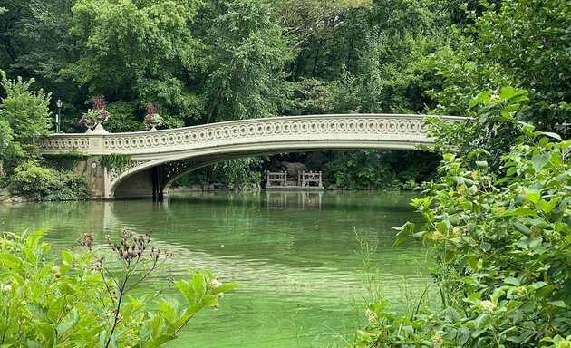 Photo of Central Park New York City