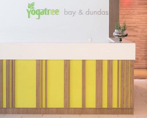 Photo of Yoga Tree Bay Dundas