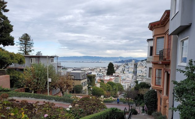 Photo of Lombard Gardens