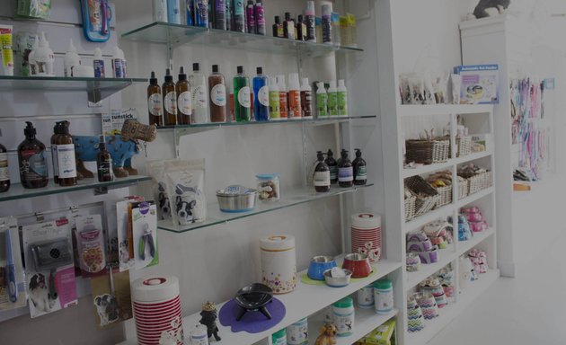 Photo of KT's Dog and Cat Grooming Academy