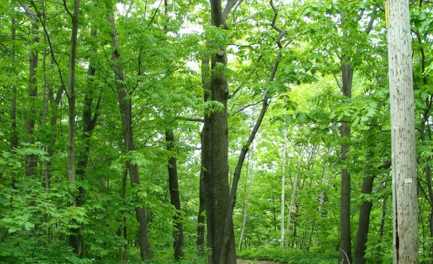 Photo of Parc Cartier-Roberval