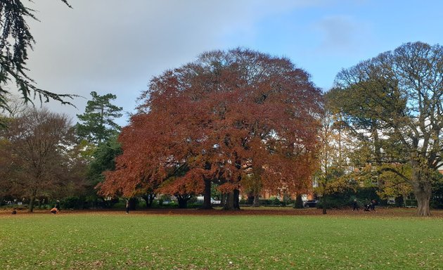 Photo of Palmerston Park Playground