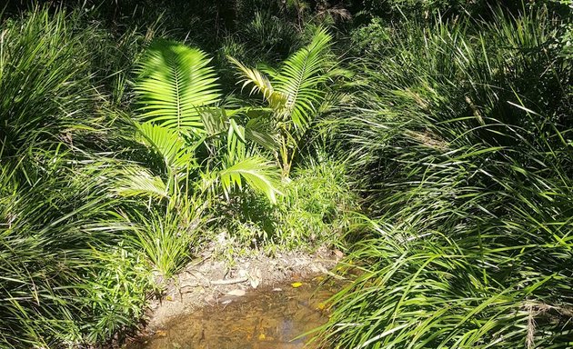 Photo of Whipbird Park Playground